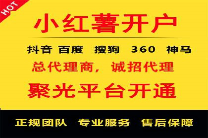百度竞价排名机制：成功案例与策略探讨